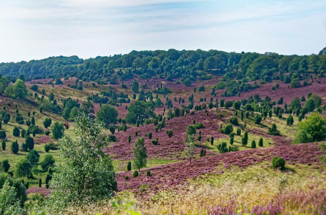 Ferienwohnungen Schaeferfeld Lüneburg Esterno foto
